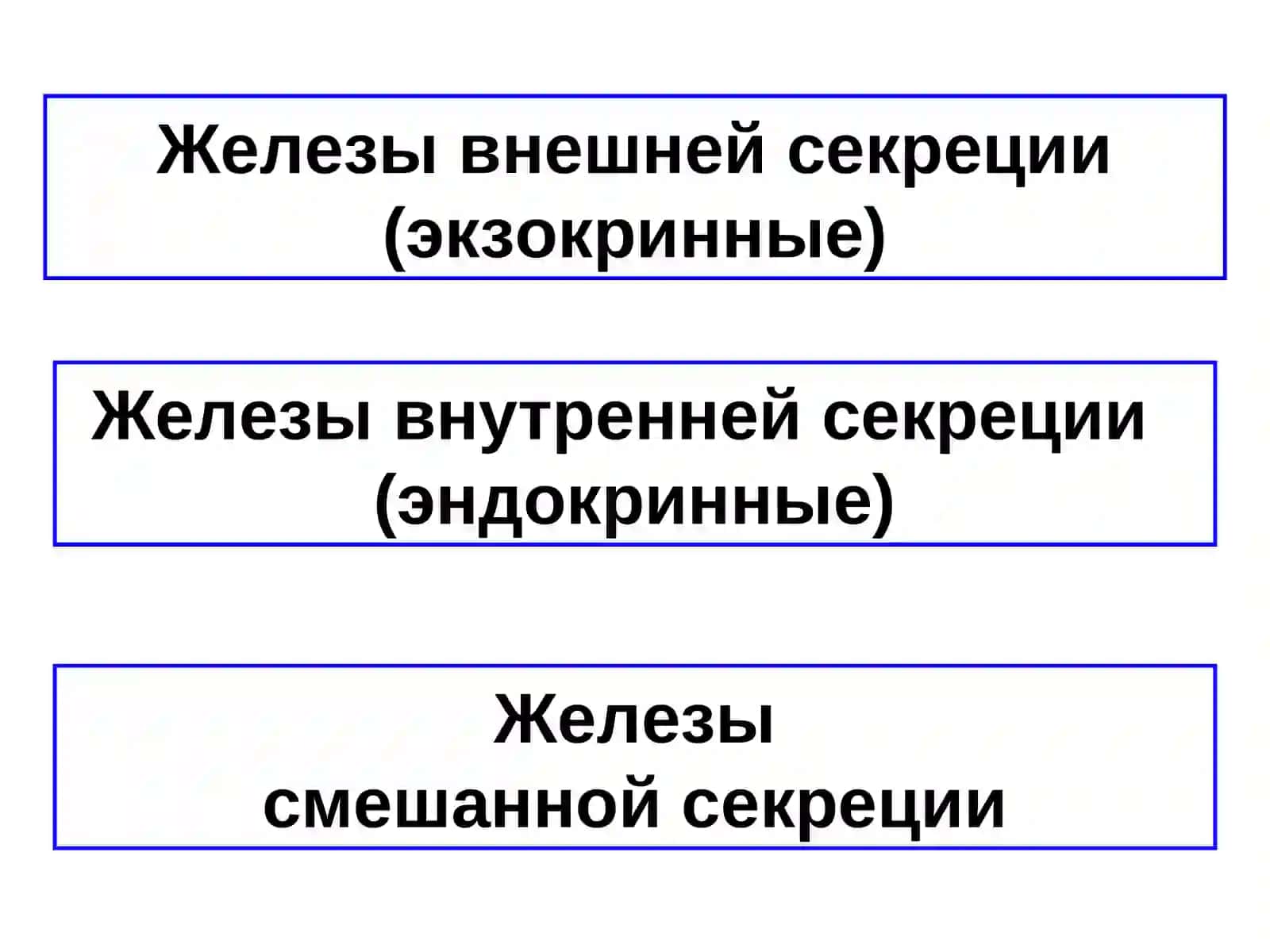 Эндокринная система. Роль эндокринной регуляции 4