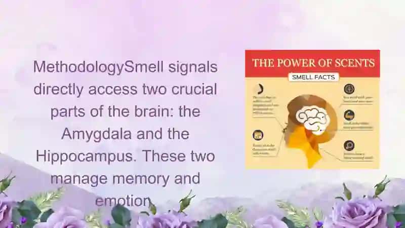 Smell and memory. Pptx 4