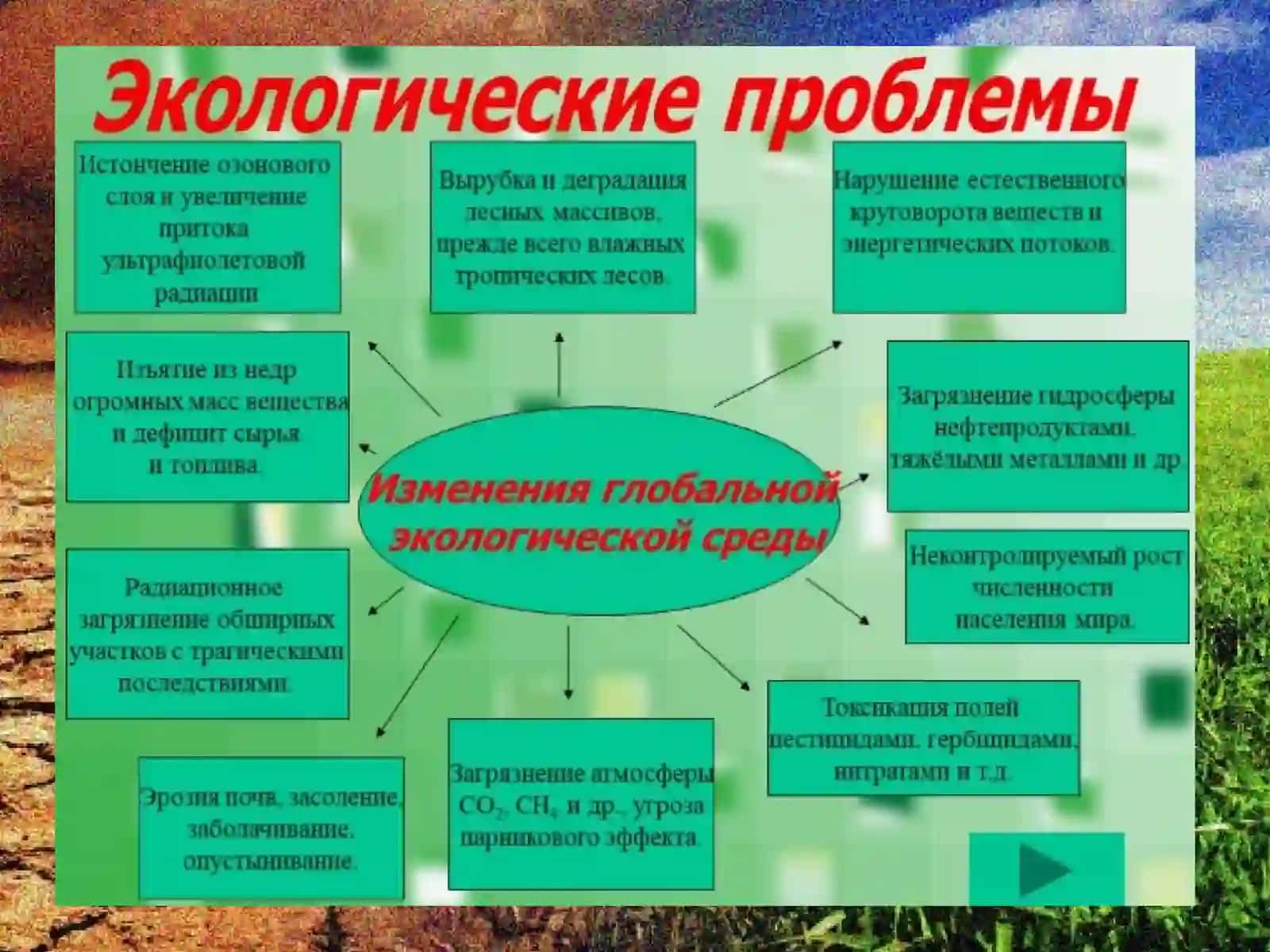 Экологические проблемы 4