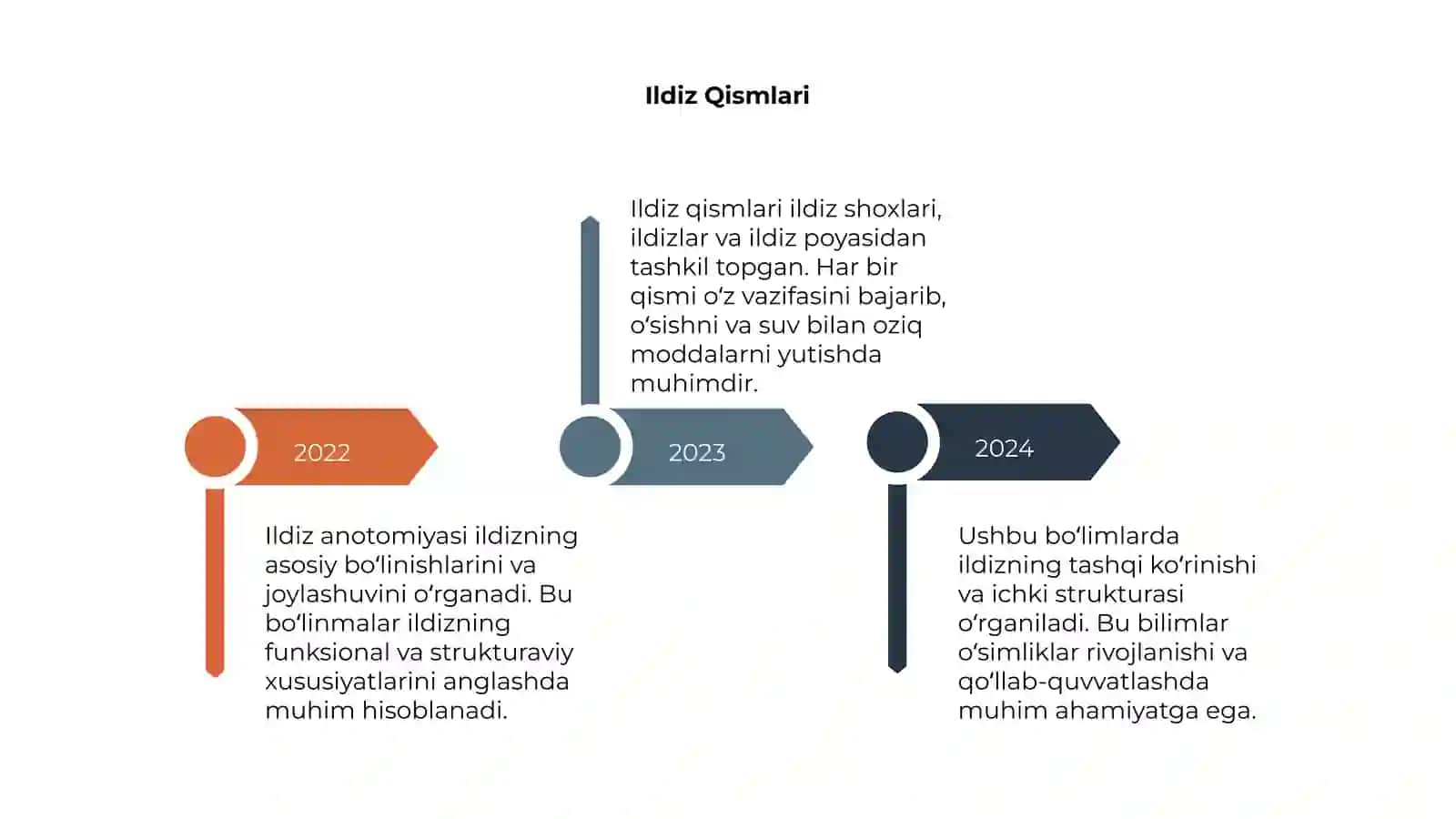 Ildiz anotomiyasi 4