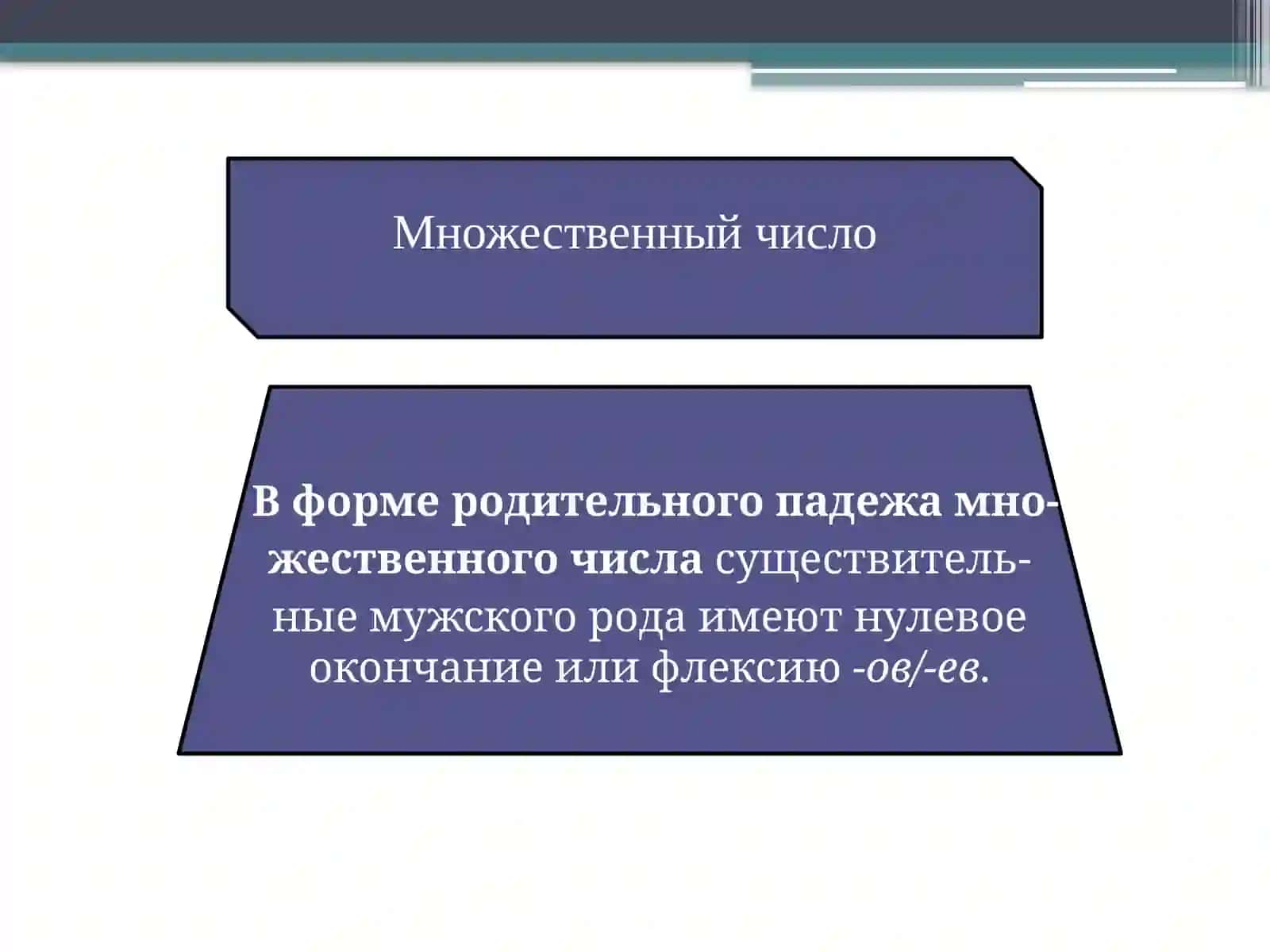 Множественное число имени существительных в Родительный падеж 4