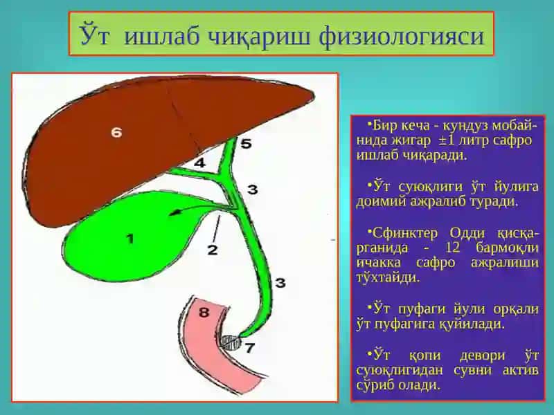 Ўт тош касаллиги. Холециститлар, диагностикаси ва даволаш 4