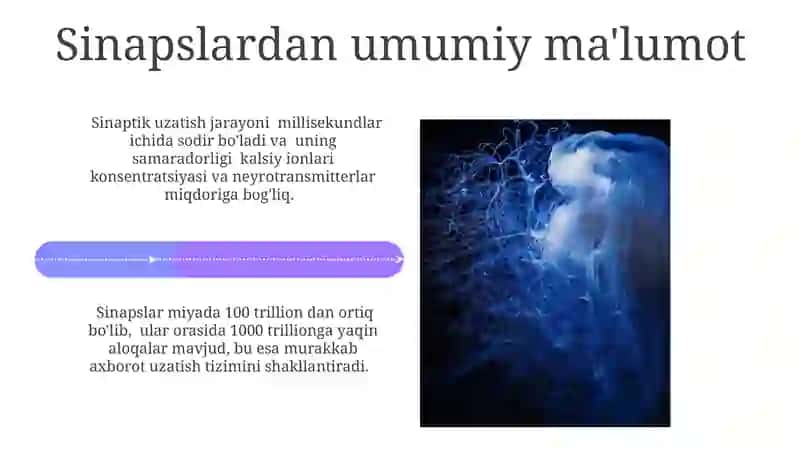 Sinapslar va sinaptik jarayonlar 4