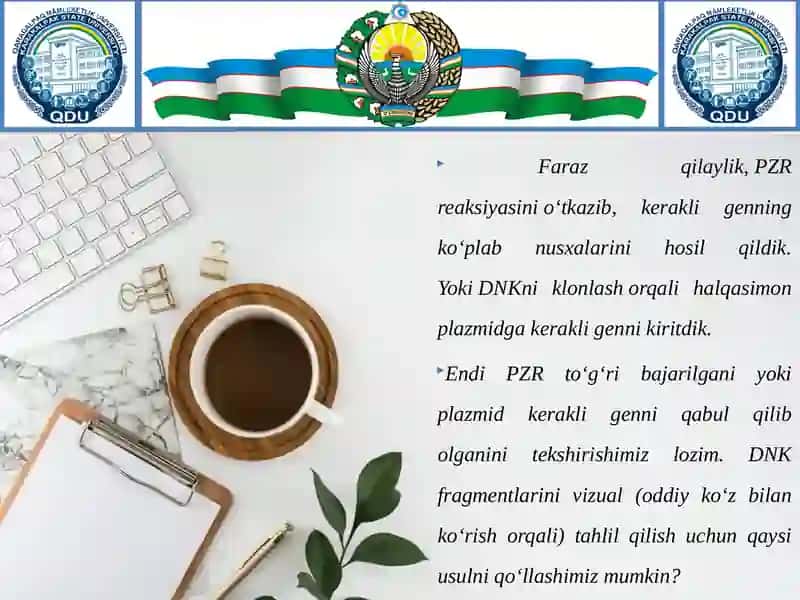 Gelelektroforezo'tkazish vanatijalarni gel hujjatlashtiruvchi sistemada analiz qilish 4