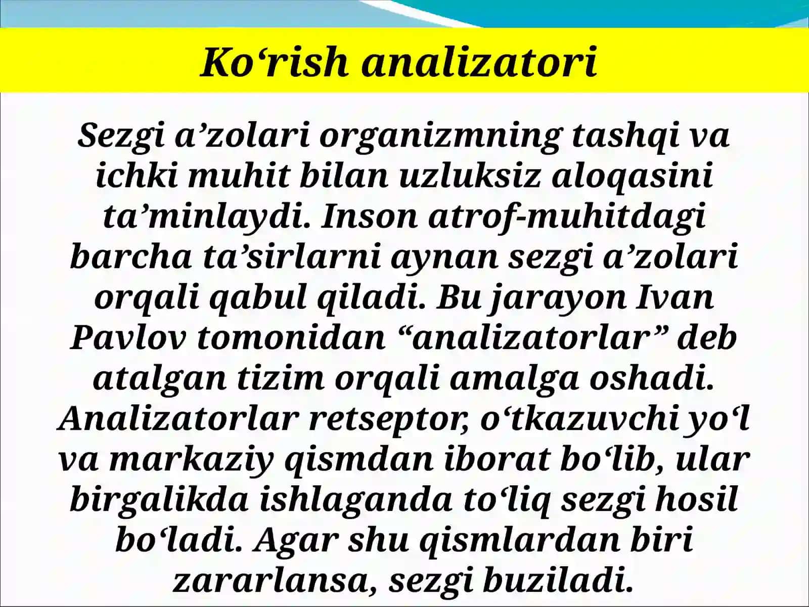 Sezgi a’zolari. Ko‘z 4