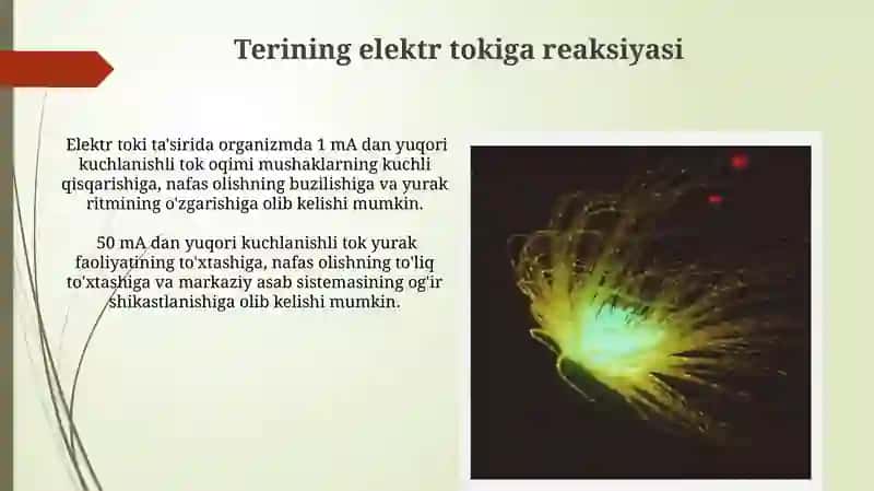 Elektr tokining organizmga taʼsiri 4