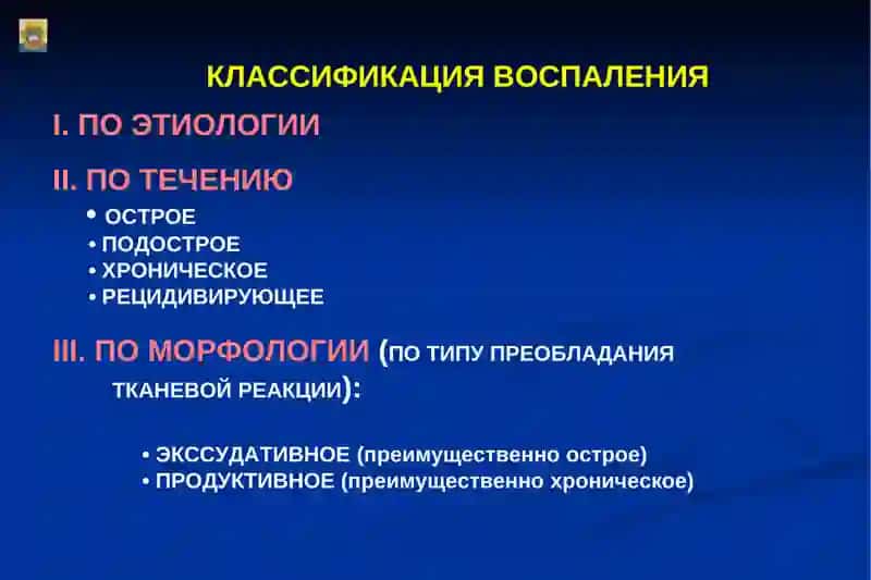 Морфология и классификация острого воспаления 4