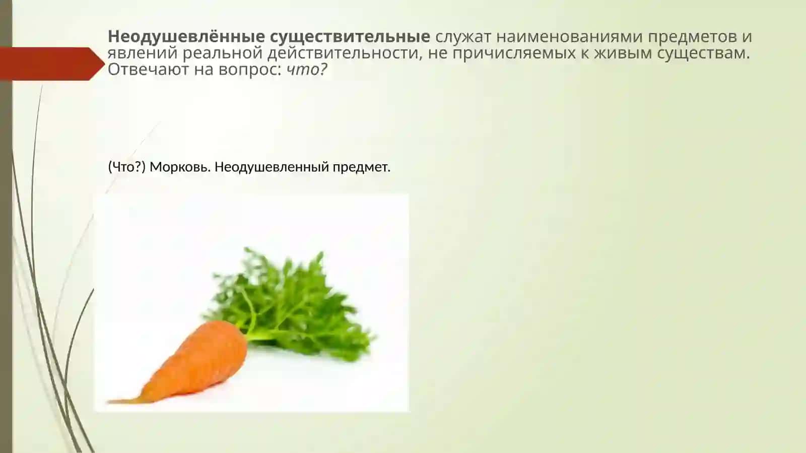 Имя существительное 4