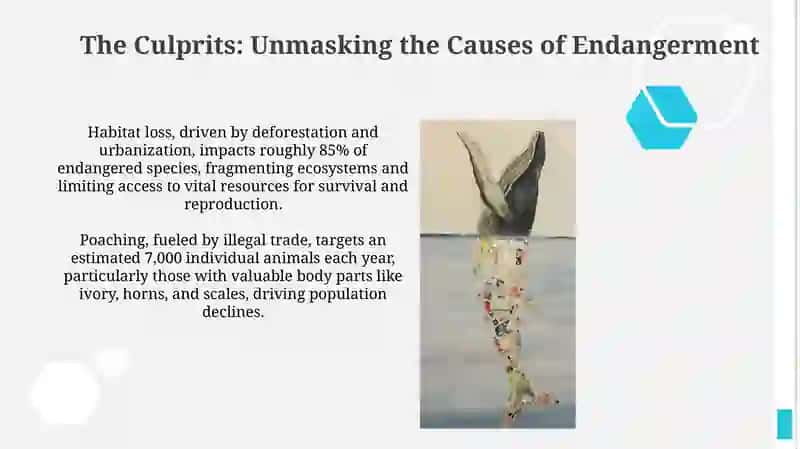 Understanding Endangered Species and Their Plight 4