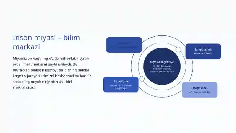 Kognitiv Uslublar: O'rganish va Fikrlashning Shaxsiy Yo'llari 4
