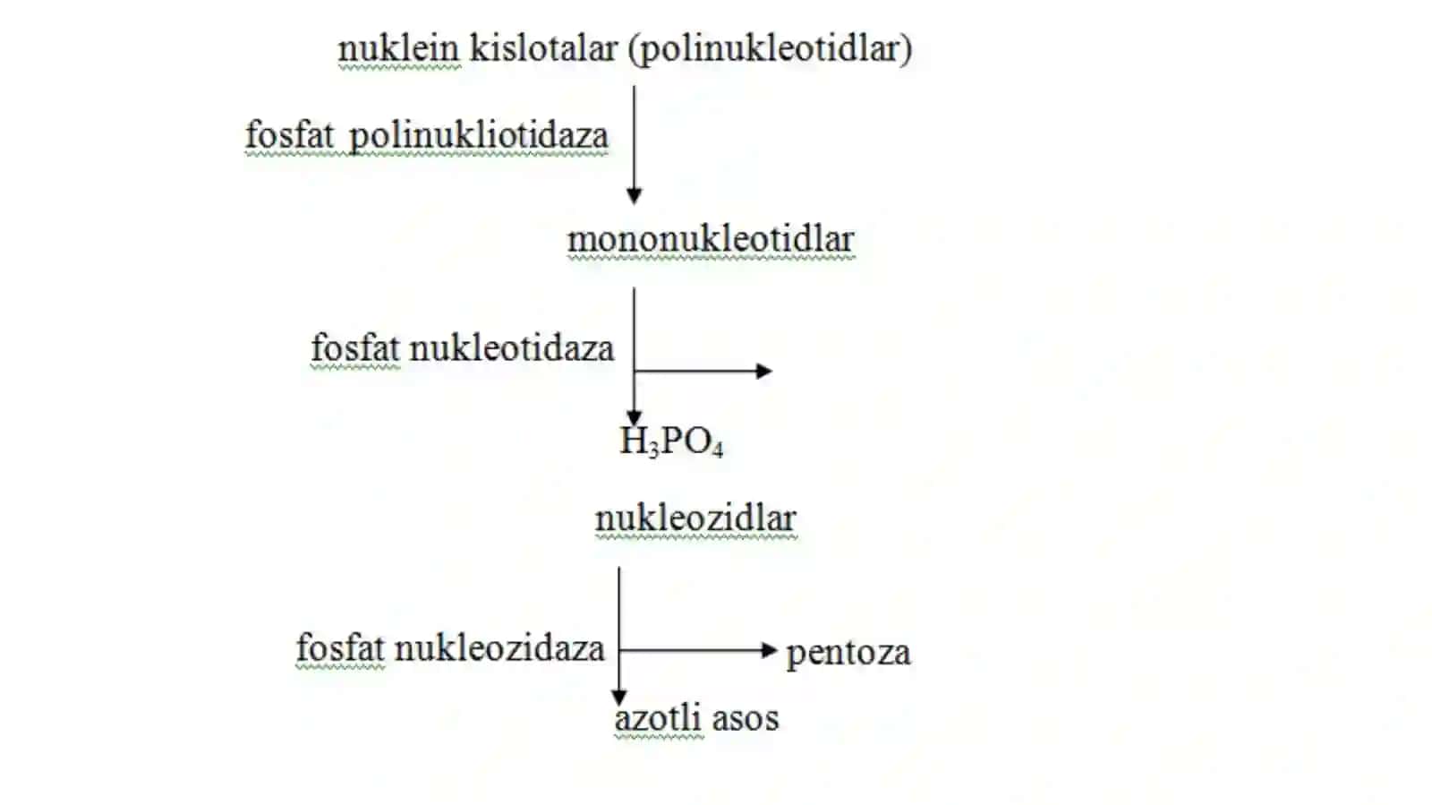MOLEKULYAR GENETIKA VA MOLEKULYAR BIOLOGIYA GENMUHANDISLIGINING ASOSIY POYDEVORI 2-QISM 4