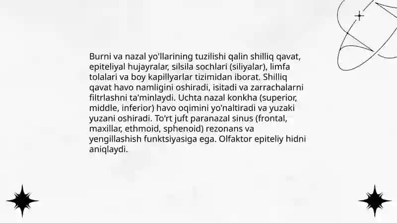 Nafas olish tizimi 4