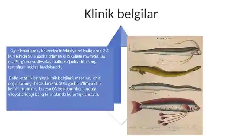 Ixtiopatiya fanining umumiy xususiyatlari 4