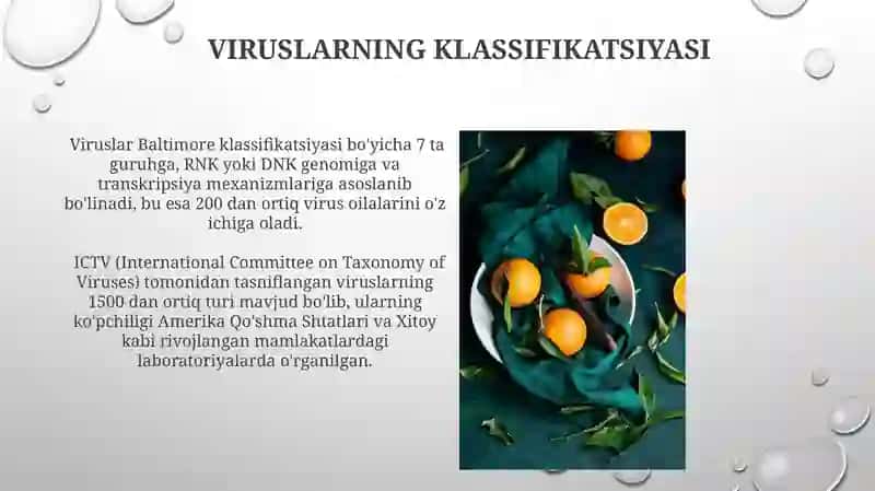 Viruslar hayotning hujayrasiz shakllari 4