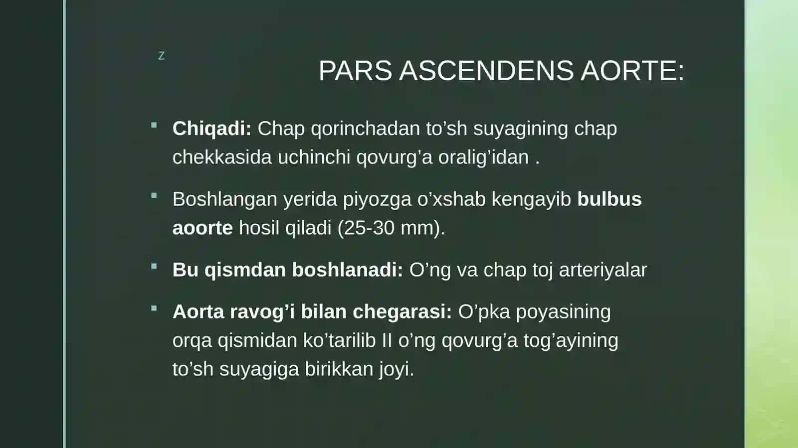 AORTA RAVOG’I, UMUMIY VA TASHQI UYQU ARTERYASI 4
