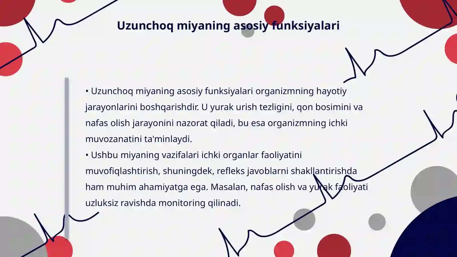 Uzunchoq miya (Medulla oblongata) – tuzilishi va funksiyalari 4