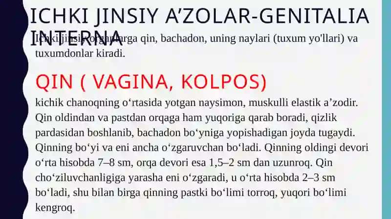 Ayollar jinsiy tizimining klinika-anatomiyasi 4
