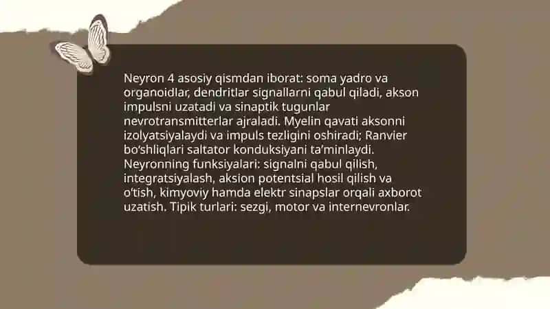 Nerv tizimining asosiy faoliyati. Sinapslar 4