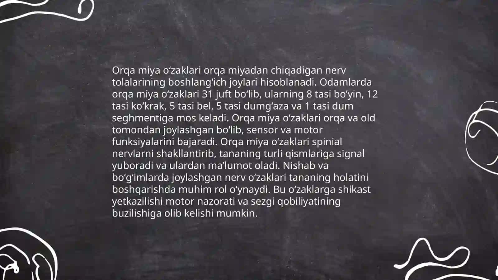 Orqa miya oʻzaklari joylashuvi va ularning ahamiyati 4