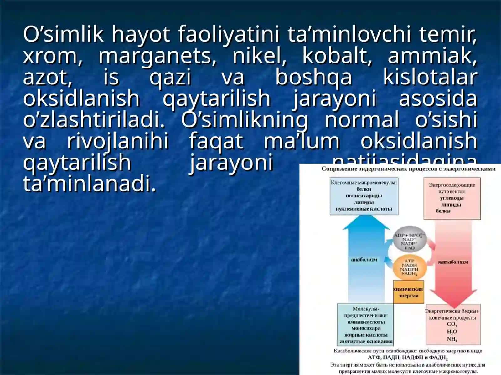 Oksidlanish qaytarilish jarayonining o’simliklar kasallik va noqulay omillarga chidamliligini oshirishdagi roli 4