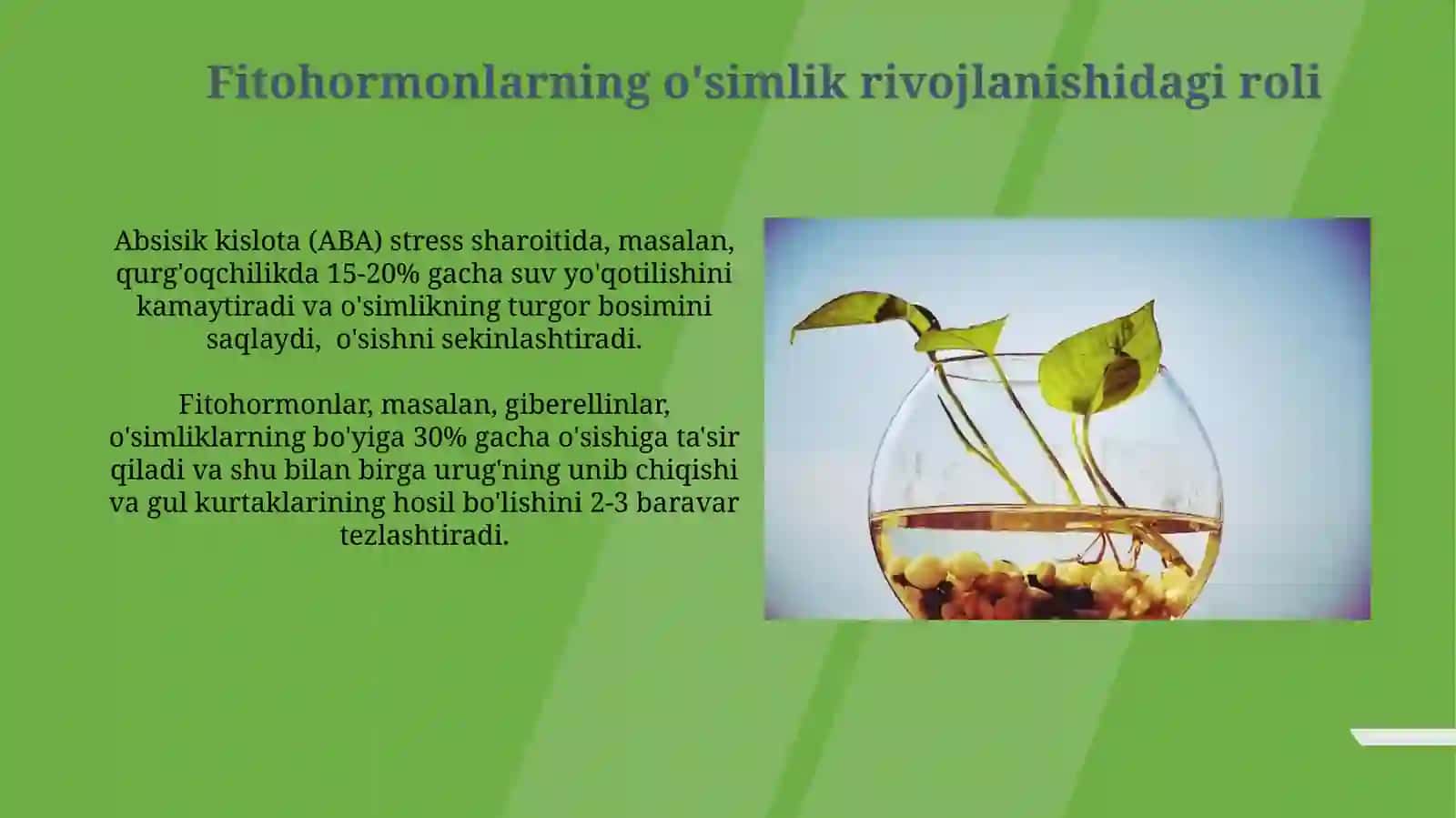 Fitogormonlar va o‘simgulla o‘sishini tartibga solish 4