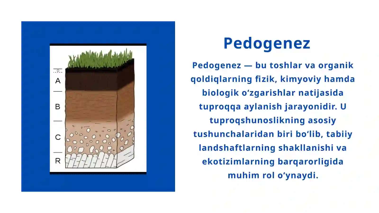 Organizmlar va tuproq hosil bo‘lishi hamda geografiyasi 4
