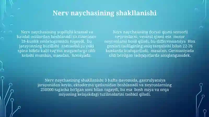 Proembrional rivojlanish davri umumiy qonuniyatlar 4
