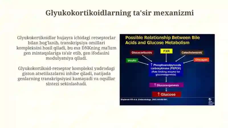 Katexolaminlar va glyukokortikoidlarning uglevodlar almashinuviga tasiri 4