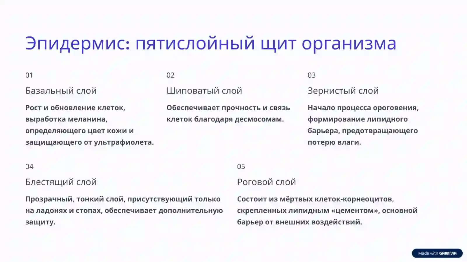 Строение и состав кожи человека: удивительный мир под нашей кожей 4