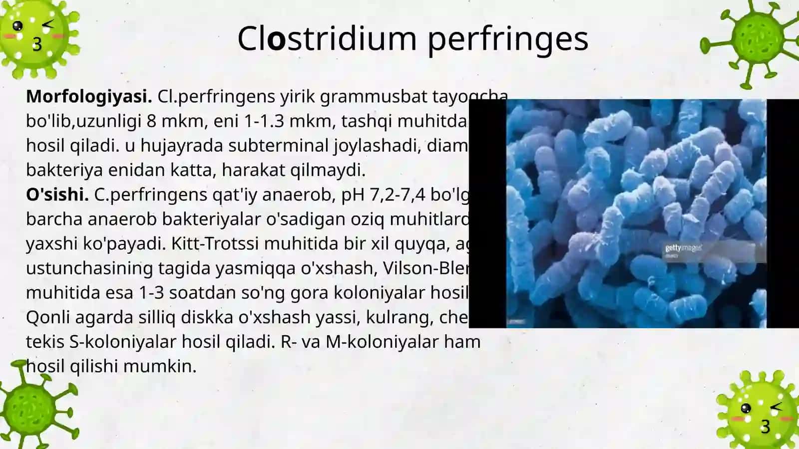 mikrobiologiya taqdimot 4
