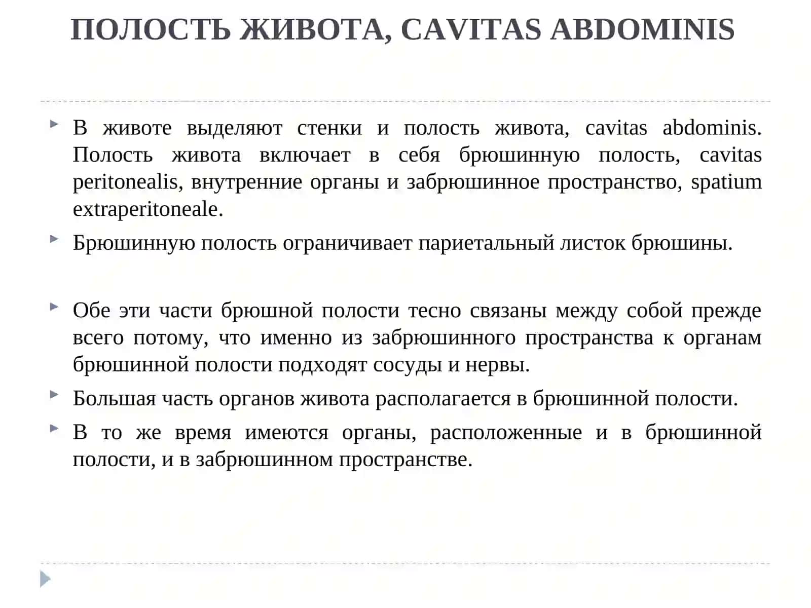 ТОПОГРАФИЧЕСКАЯ АНАТОМИЯ ВЕРХНЕГО ЭТАЖА БРЮШНОЙ ПОЛОСТИ У ДЕТЕЙ И ВЗРОСЛЫХ 4