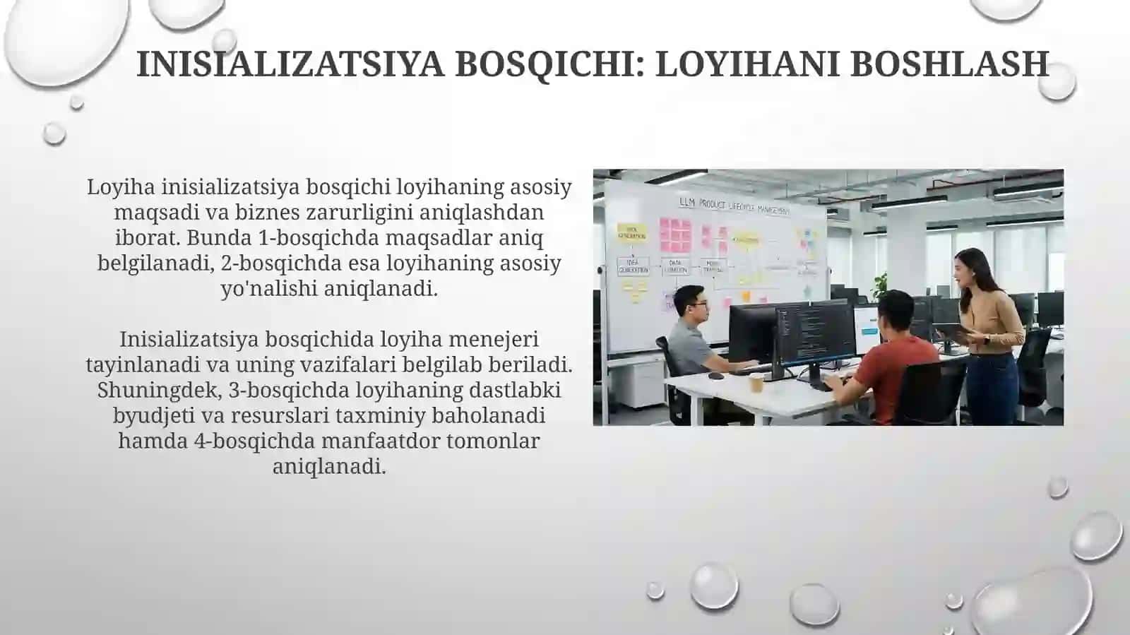 Loyihaning hayotiy sikli asosiy bosqichlari 4