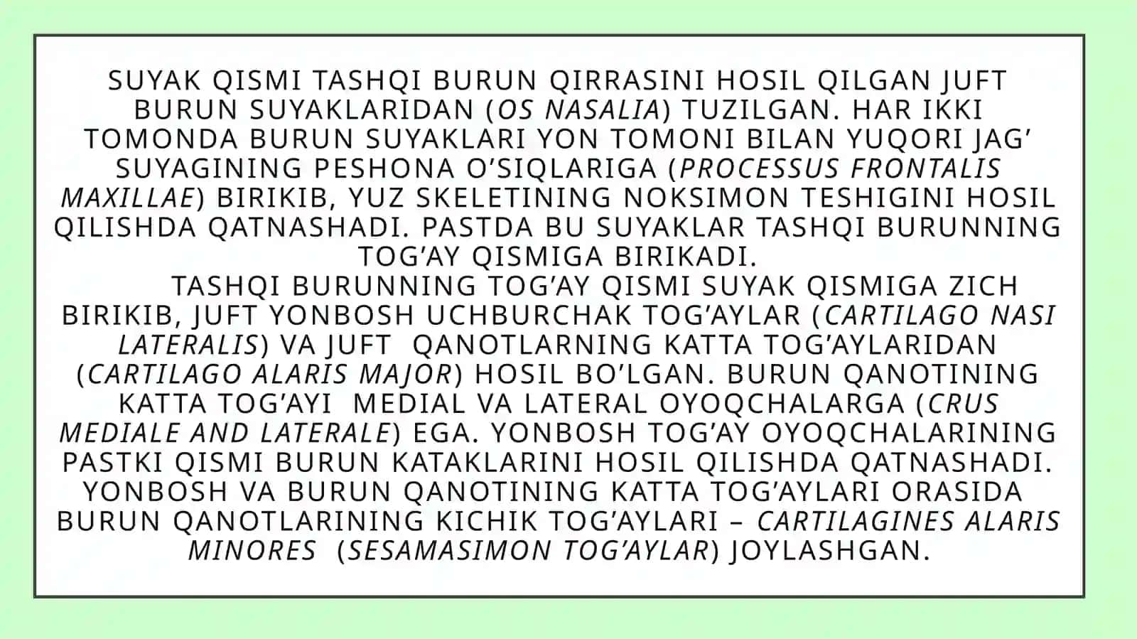 Burun yon bo'shliqlari 4