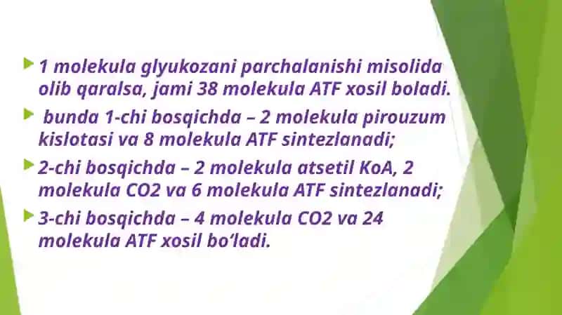 Glyukoza katabolizmi va glukoneogenez 4