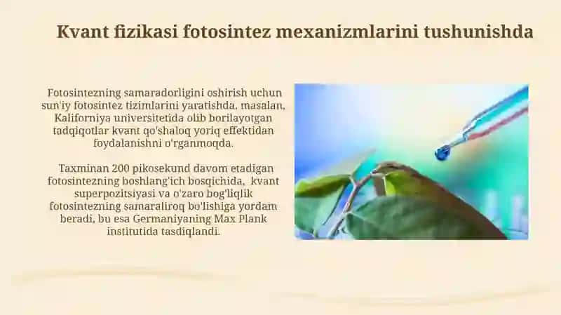 Fotosintez jarayonida kvant fizika qonunlarining tatbiqi 4