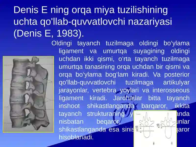Umurtqa pog’onasi va orqa miya shikastlanishlari 4