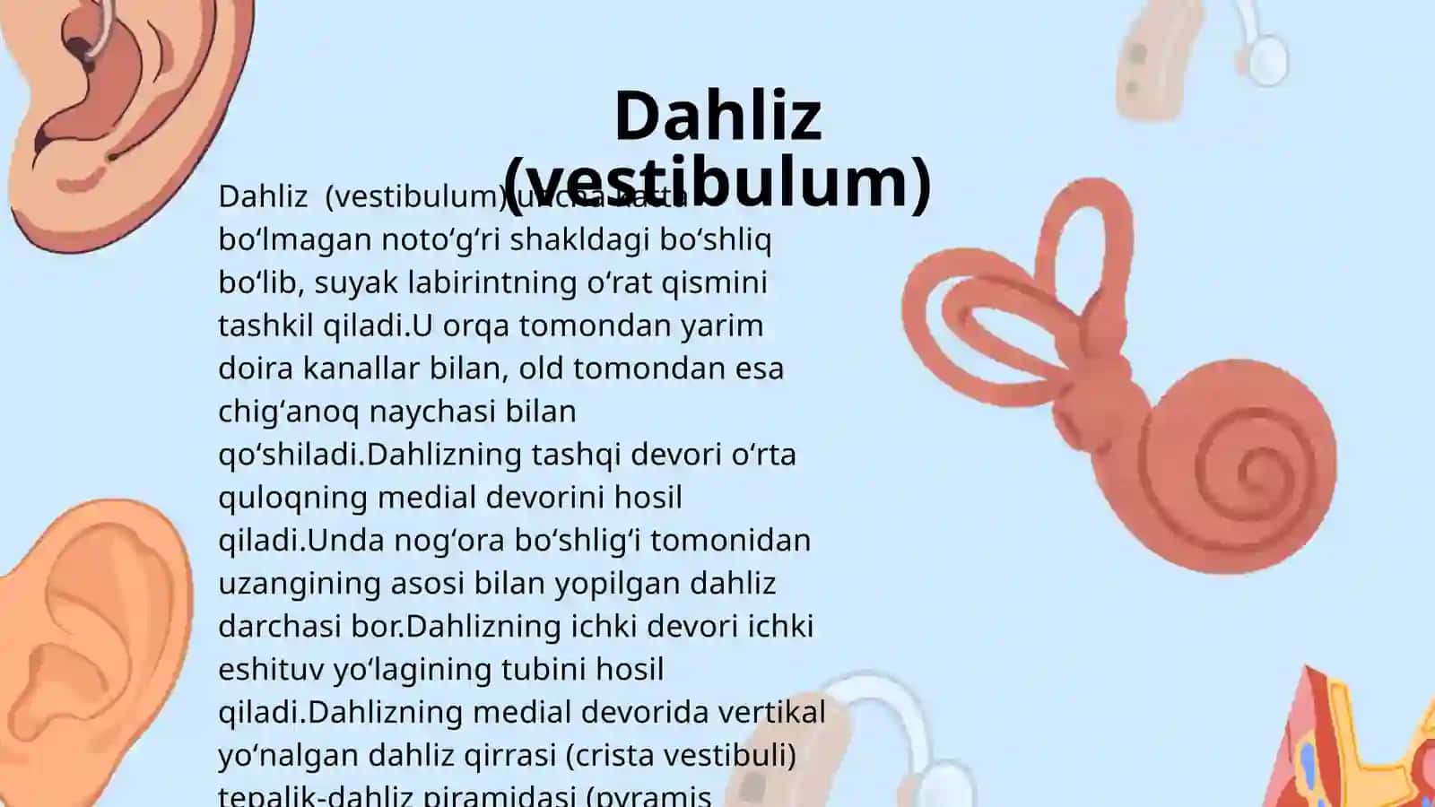 Ichki quloq 4