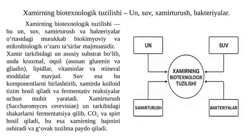 Non mahsulotlari ishlab chiqarish biotexnologiyasi 4