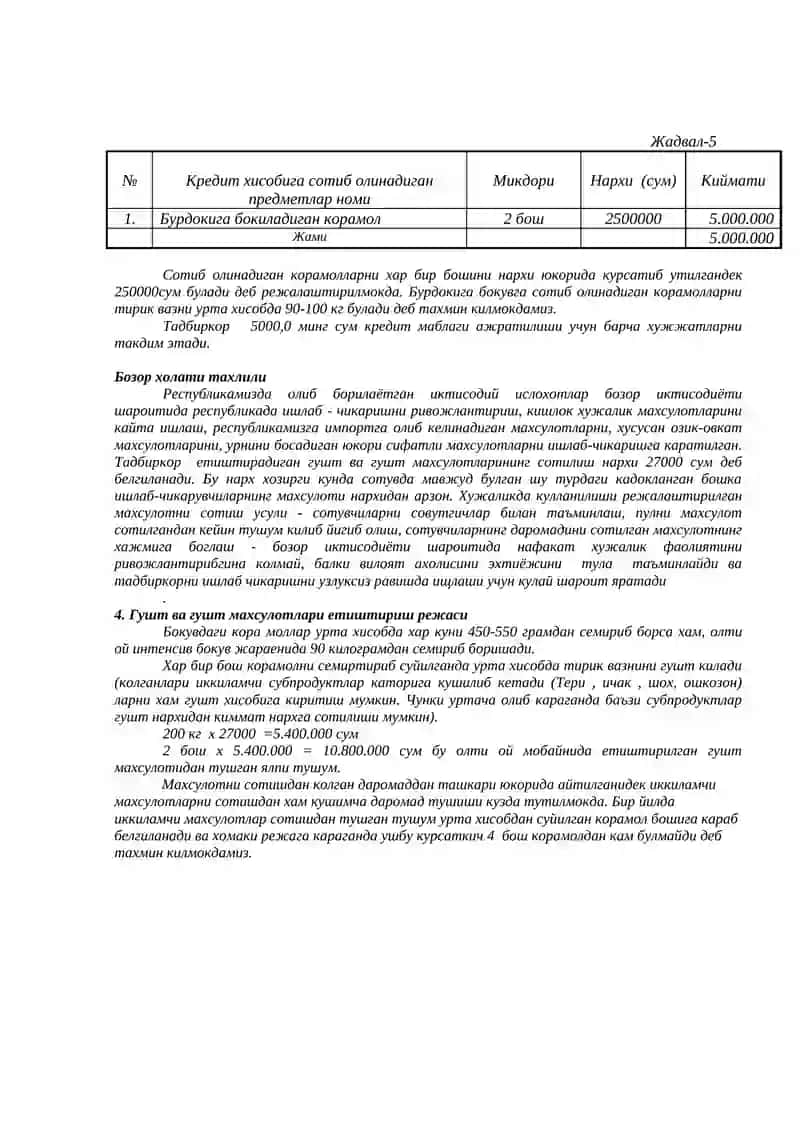 Chorvachilik uchun biznes reja 4