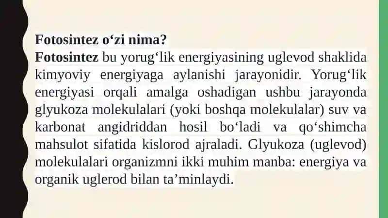 Fotosintez Fiziologiyasi 4