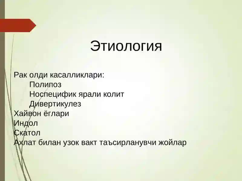 Тўғри ичак анатомияси 4