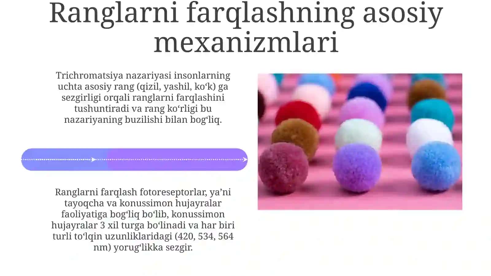 Ranglarni va shakllarni ajrata olish qobilyatini shakllantirish 4