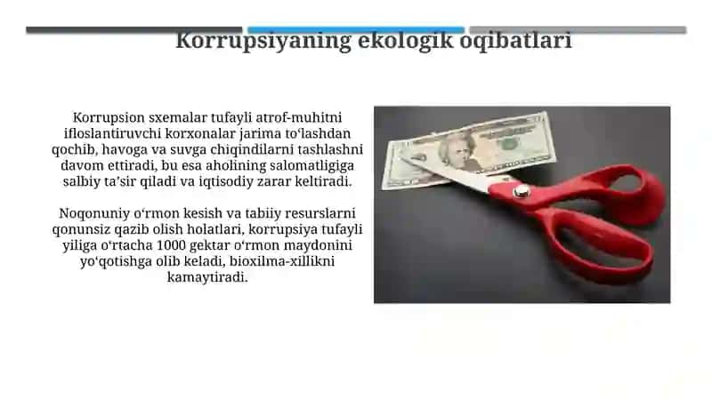 Korrupsiyaning mohoyati va uning oqibatlari 4