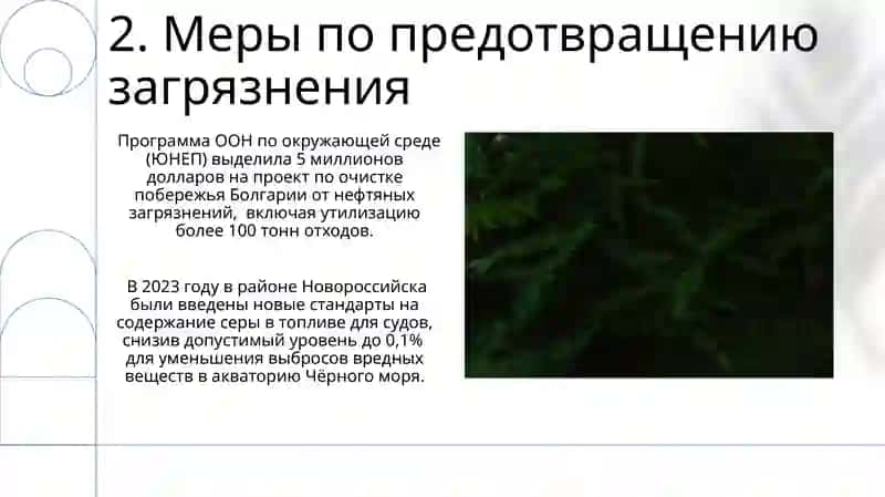 Черное море мазут экология 4
