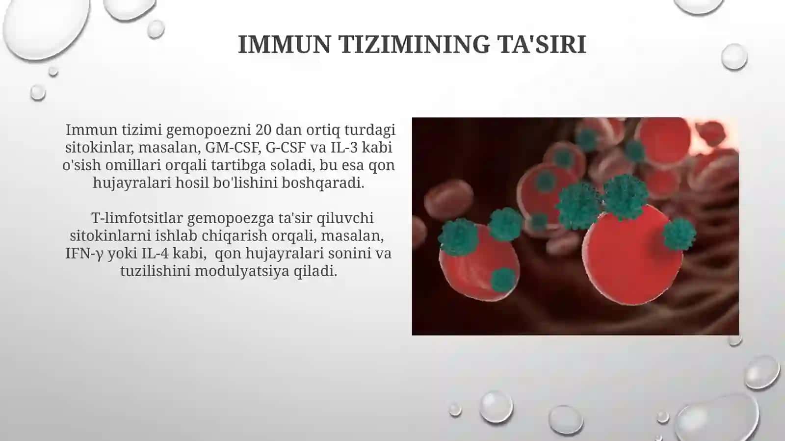 Hemopoezning genetik va epigenetik regulyatsiyasi 4