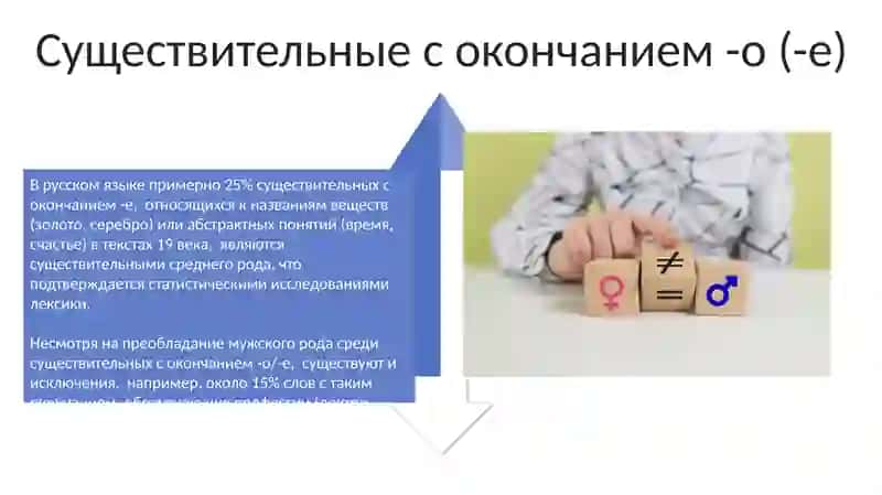 Определение рода имен существительных по значению и окончанию 4