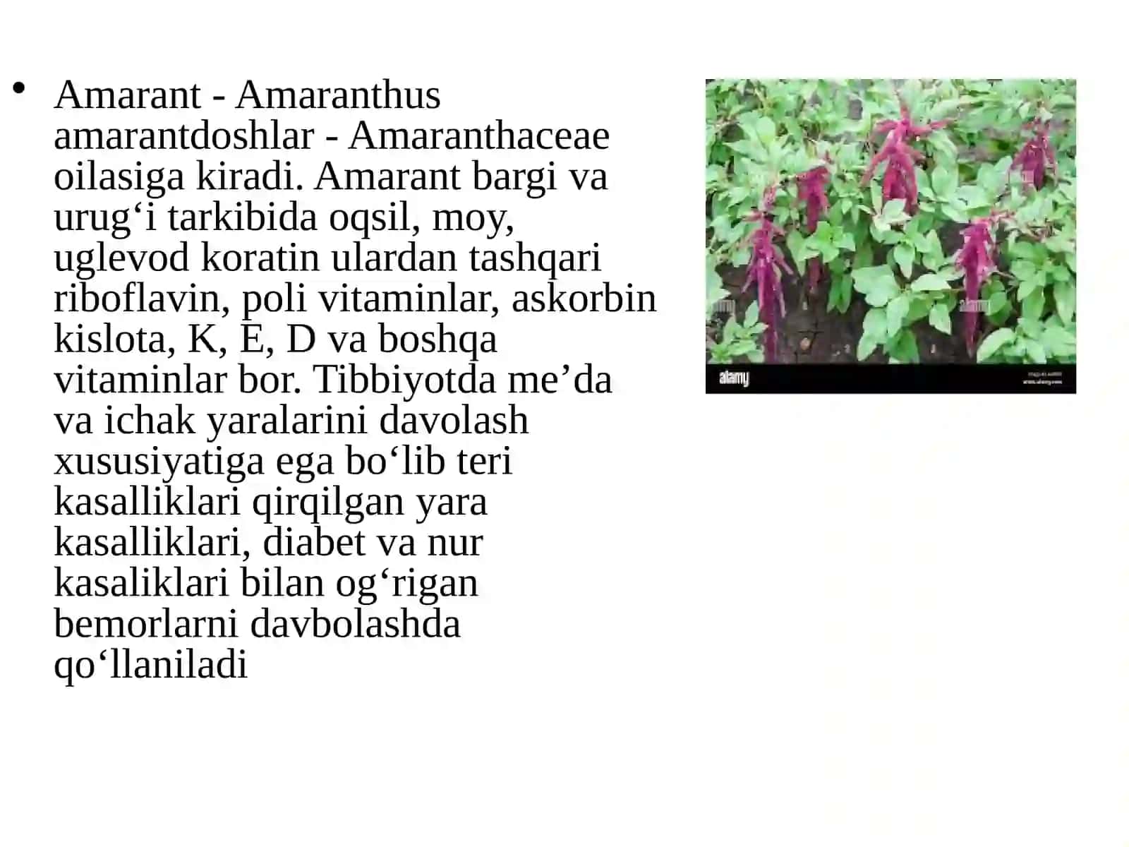 GULTOJIXO’ROZDOSHLAR (AMARANTHACEAE), SHO’RADOSHLAR (CHENOPODIACEAE) TURKUMI TURLARI NOMENKLATURASINI TAHLILI VA O’RGANISH QOIDALARI 4