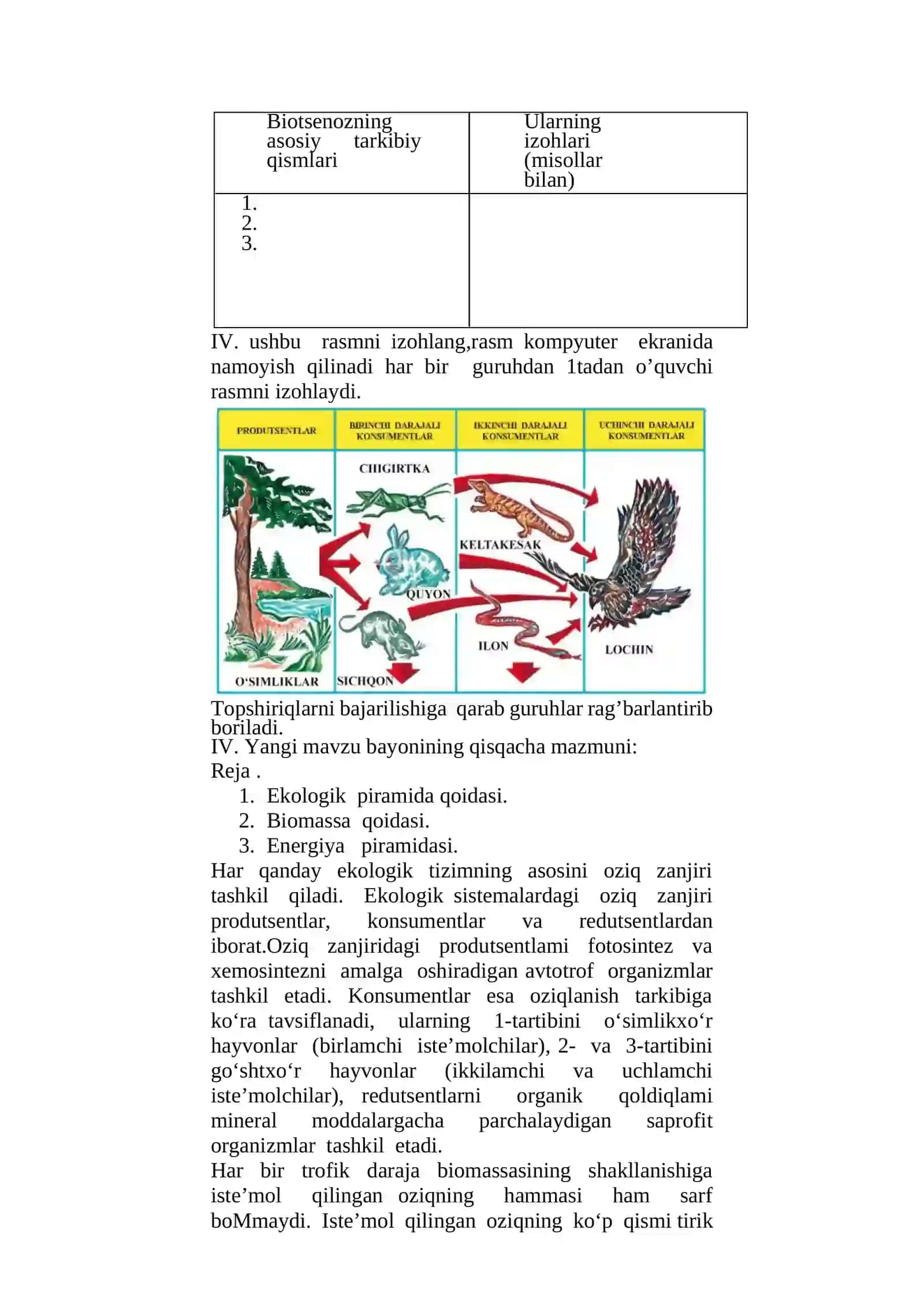 EKOLOGIK PIRAMIDA QOIDASI. BIOMASSA VA ENERGIYA PIRAMIDASI 4