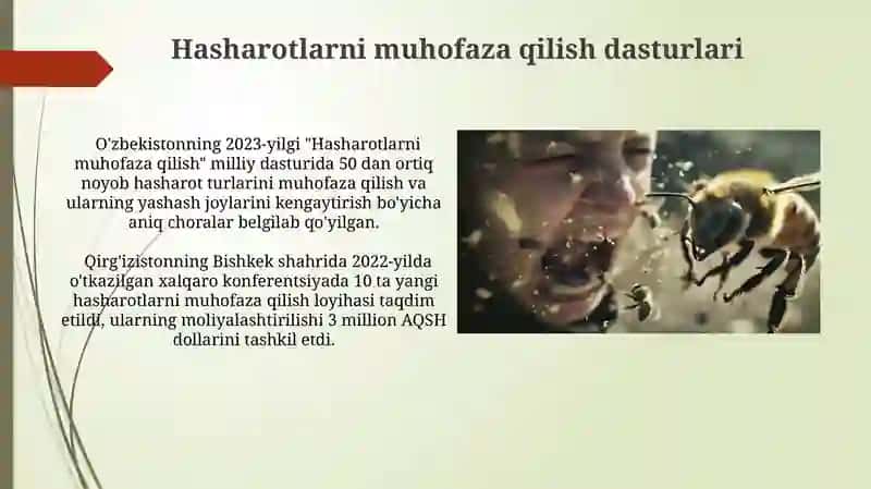 Changlatishda hashorotlarning ishtiroki 4