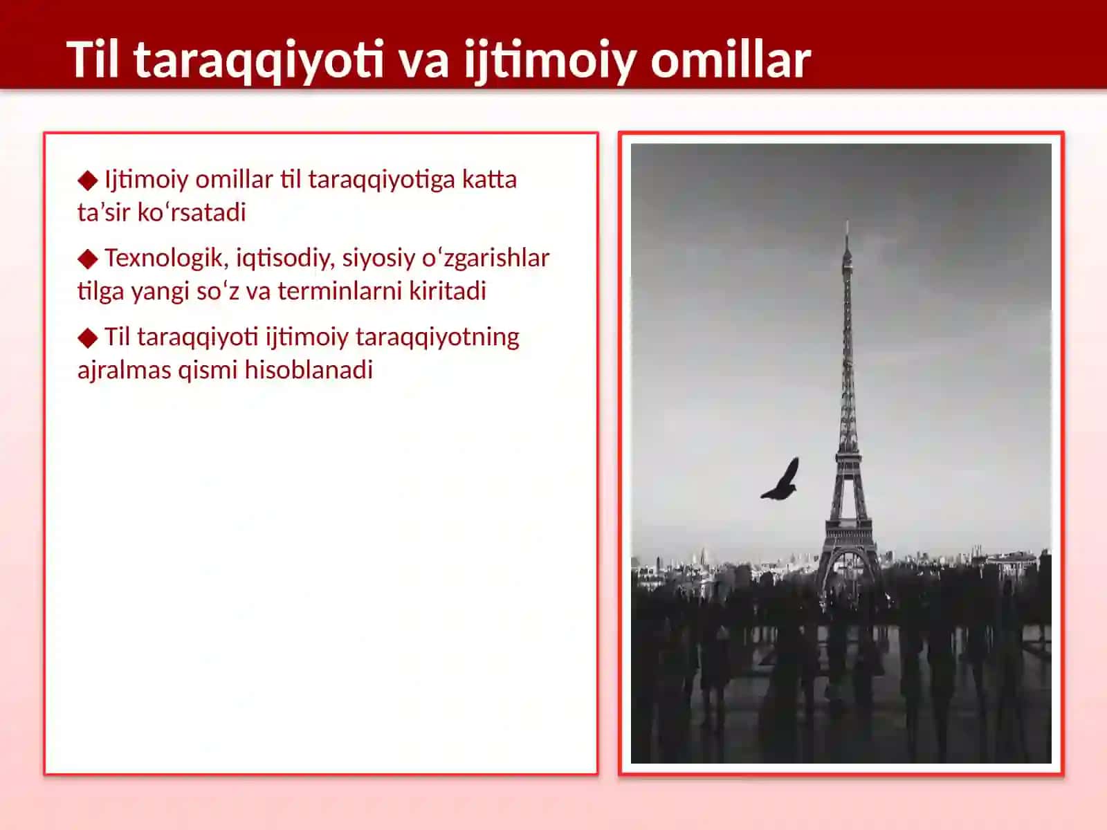 O‘zbek tilida yangi paydo bo‘lgan so‘z va terminlar tahlili 4